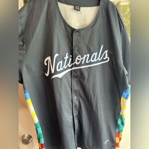 Warner Bros. Blue-Gray Harry Potter Quidditch Houses Washington Nationals Jersey